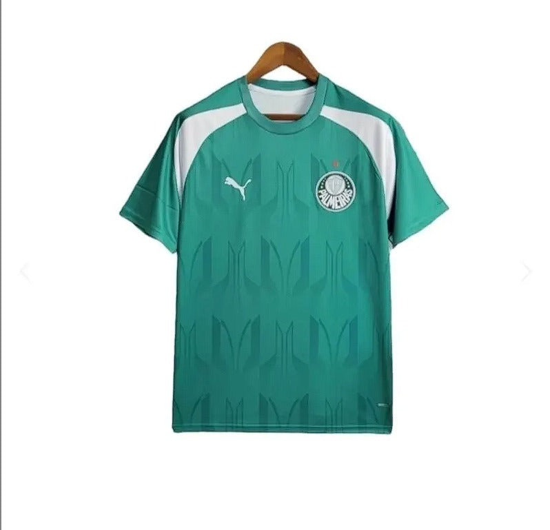 Camisa Palmeiras Pré Jogo 2024 - Puma Verde