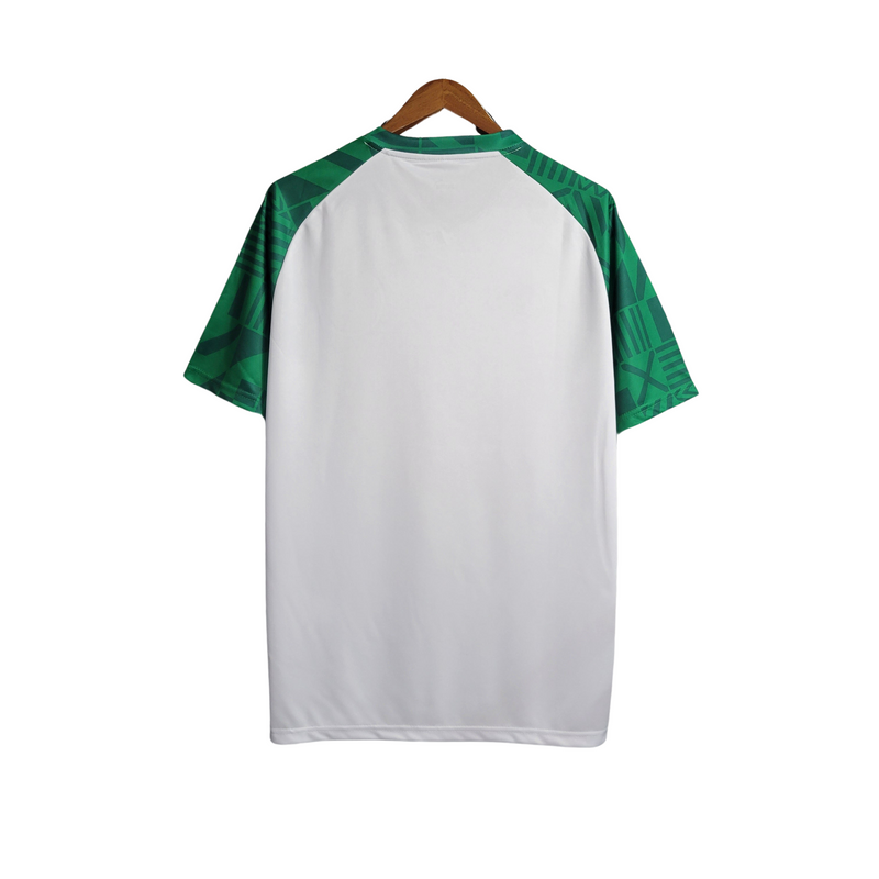 Camisa Palmeiras Treino II 23/24 - Puma Torcedor Masculina