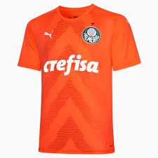 Camisa Palmeiras Goleiro 2022 - Puma Torcedor Masculina