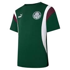 Camisa Palmeiras Pré Jogo 23/24 - Puma Torcedor Masculina